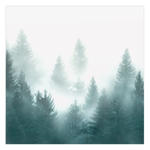 Vinilo para cristales - Coniferous Forest In Fog