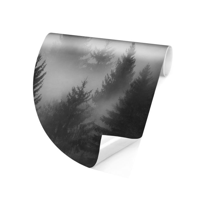 Papel pintado blanco y negro Coniferous Forest In The Fog Black And White