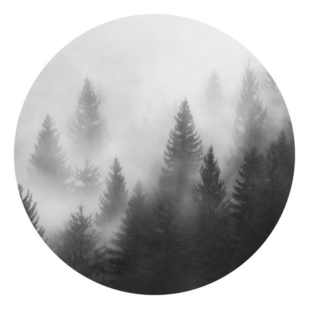 Papel pintado paisajes Coniferous Forest In The Fog Black And White