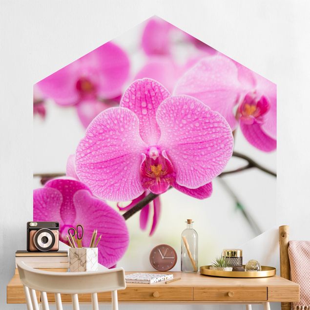 Papel pintado orquídeas Close-Up Orchid