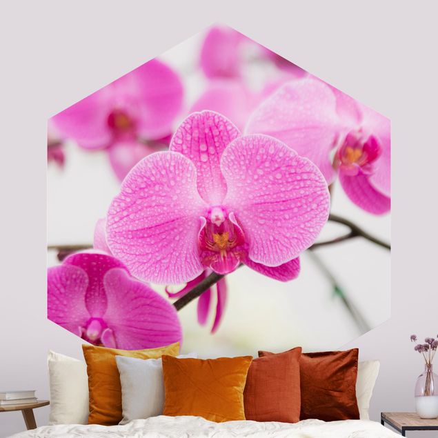 Decoración en la cocina Close-Up Orchid