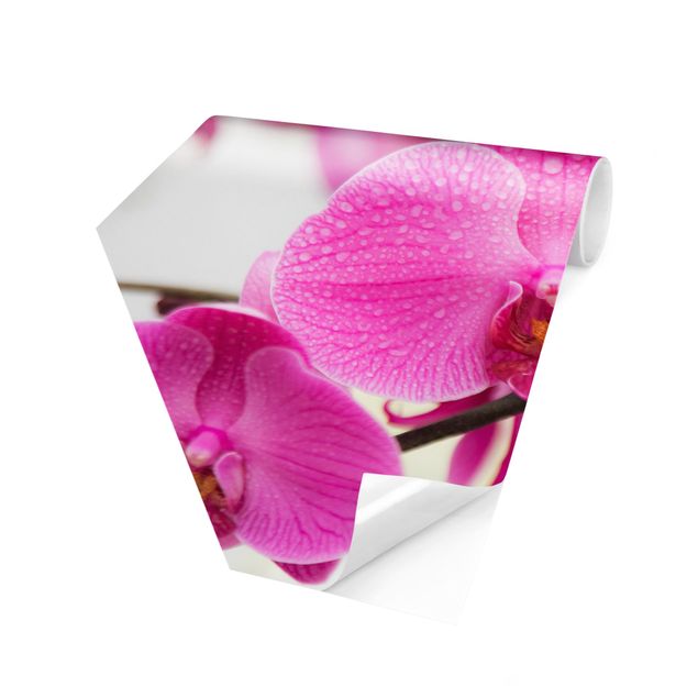 Papel pintado hexagonal Close-Up Orchid