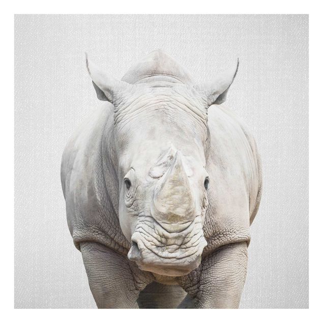 Cuadros en blanco y negro Rhinoceros Nora