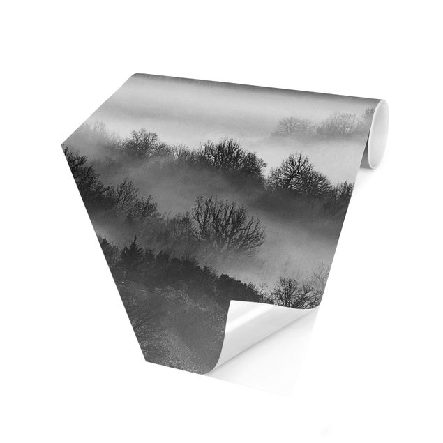 Papel pared paisaje Fog At Sunset Black And White