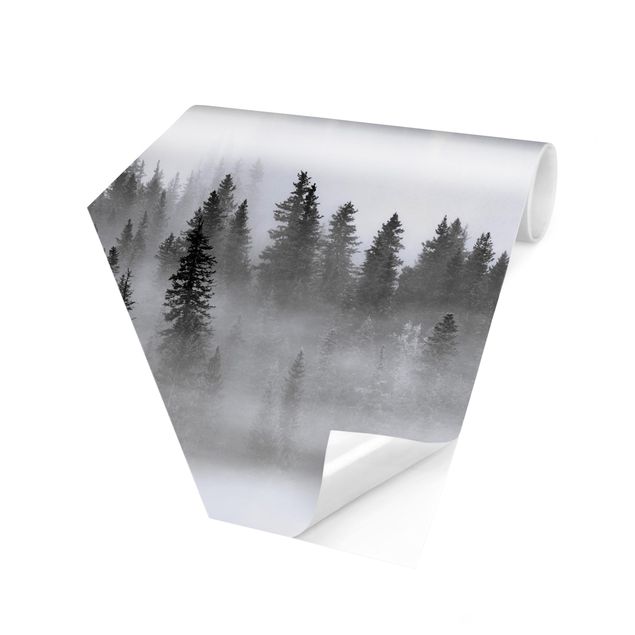 Papeles pintados Fog In The Fir Forest Black And White