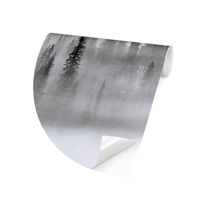 Papel pintado en blanco y negro Fog In The Fir Forest Black And White