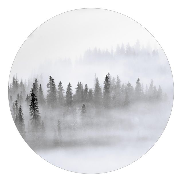 Papel pintado paisajes naturales Fog In The Fir Forest Black And White