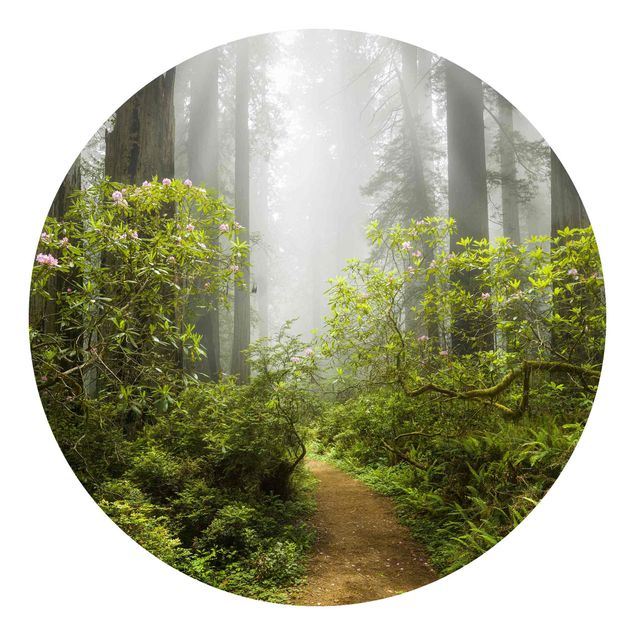 Papel pintado bosque Misty Forest Path