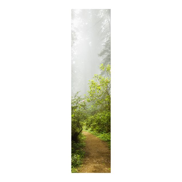 Paneles japoneses paisajes Misty Forest Path