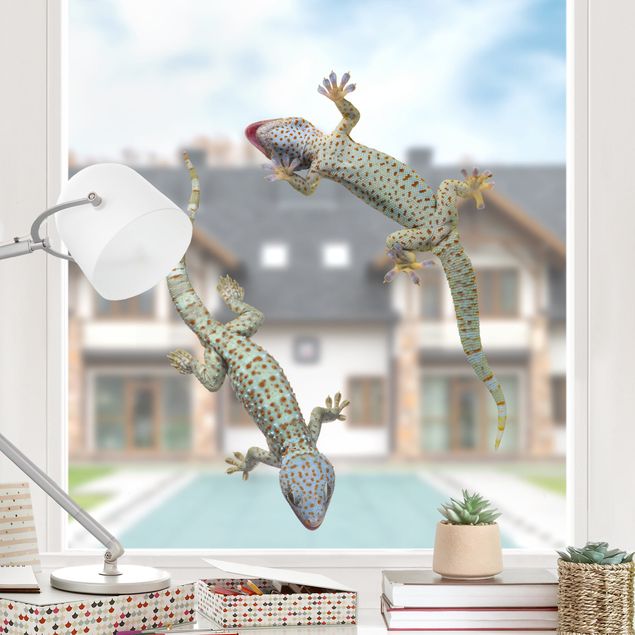 Decoración en la cocina Curious Geckos