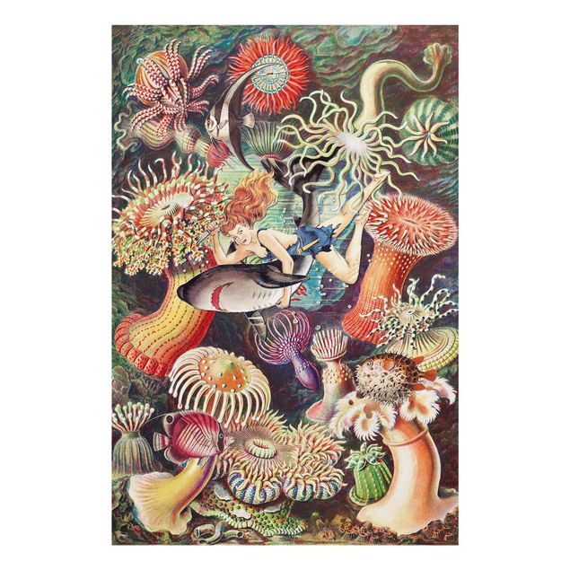 Cuadros multicolor Nymph With Sea Anemone