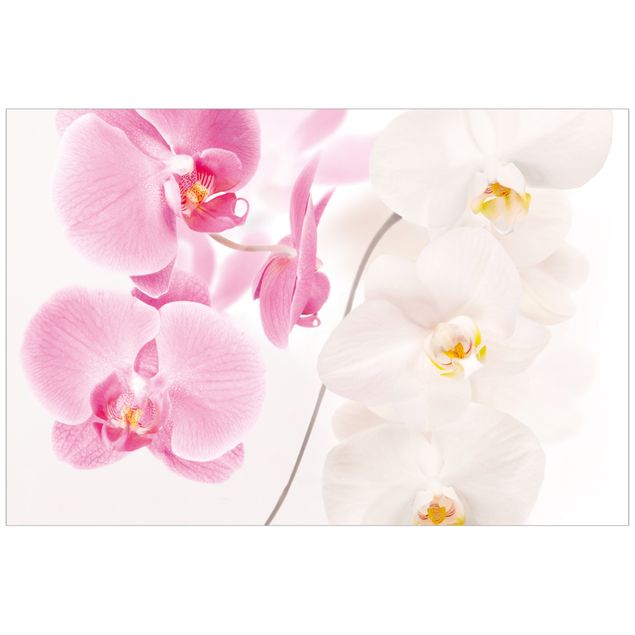 Laminas adhesivas pared Delicate Orchids