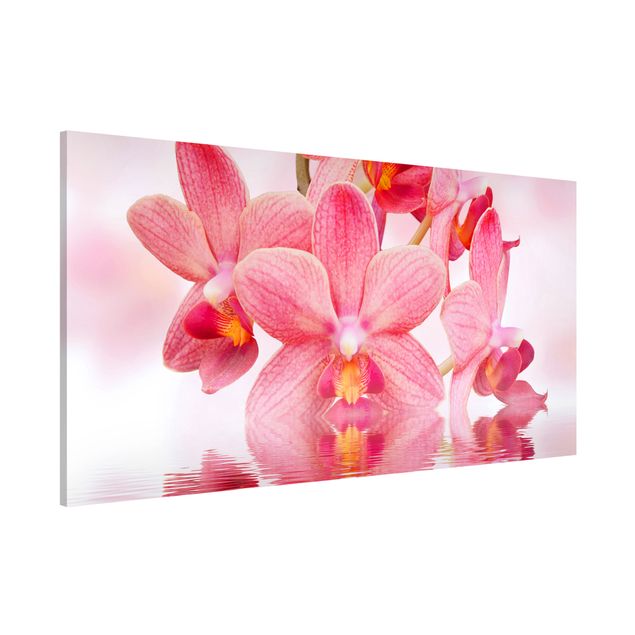 Cuadros de orquideas blancas Light Pink Orchid On Water