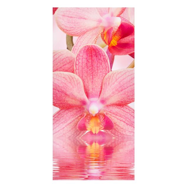 Decoración en la cocina Light Pink Orchid On Water