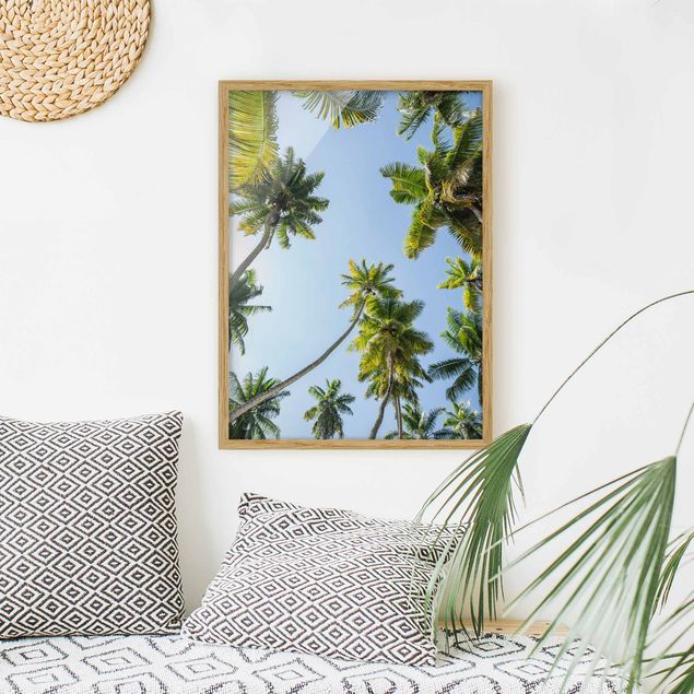 Cuadro con paisajes Palm Tree Canopy