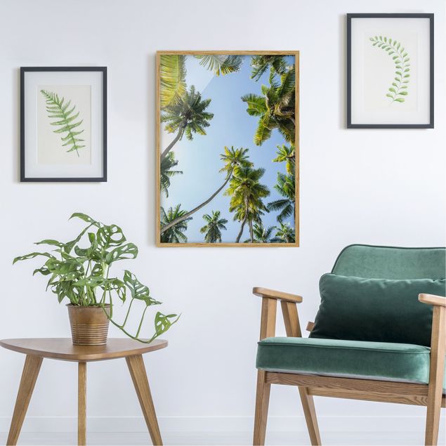 Pósters enmarcados de paisajes Palm Tree Canopy