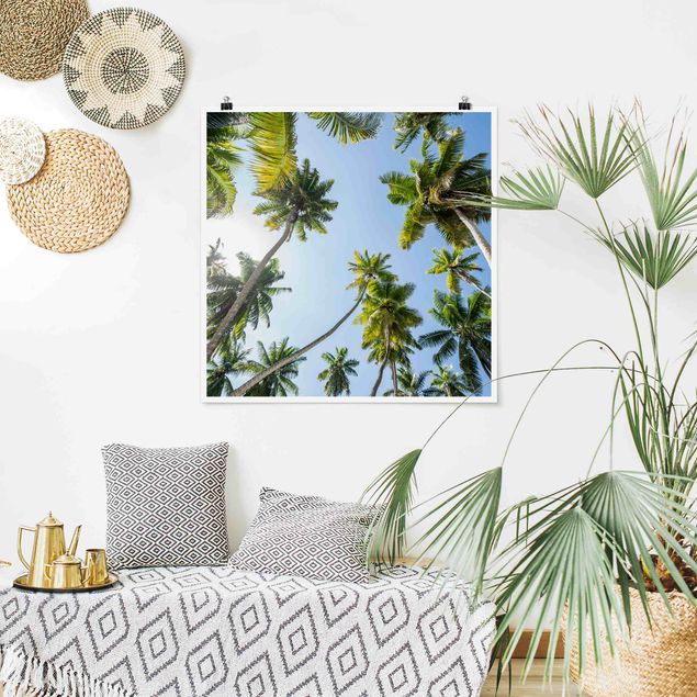 Póster paisaje Palm Tree Canopy
