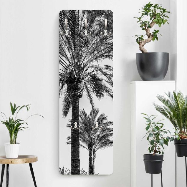 Percheros de pared de flores Palm Trees At Sunset Black And White