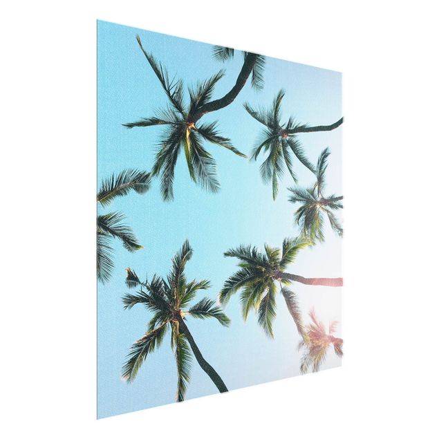 Cuadros de cristal paisajes Gigantic Palm Trees In The Sky