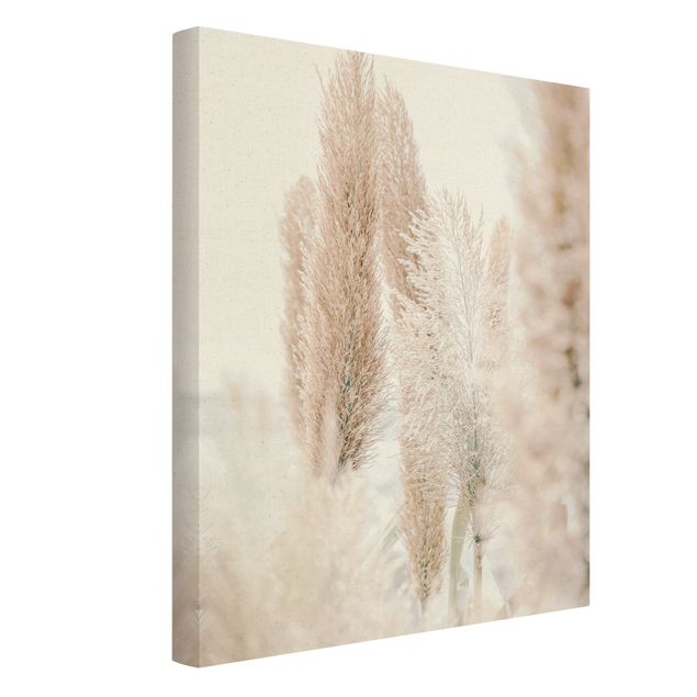Cuadros de Monika Strigel Pampas Grass In White Light