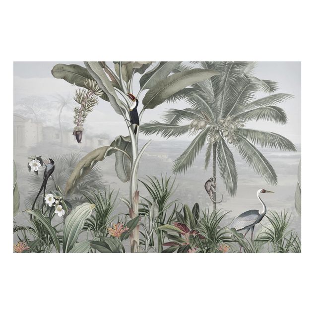 Cuadros de árboles Birds of paradise in the jungle panorama