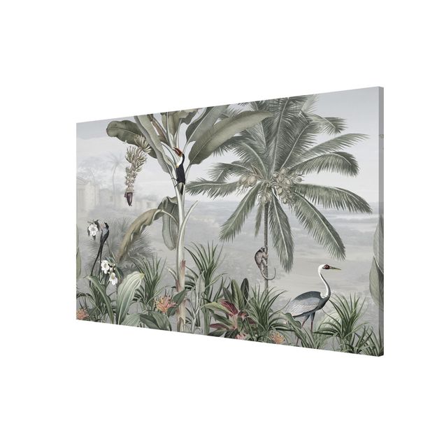 Cuadro con paisajes Birds of paradise in the jungle panorama