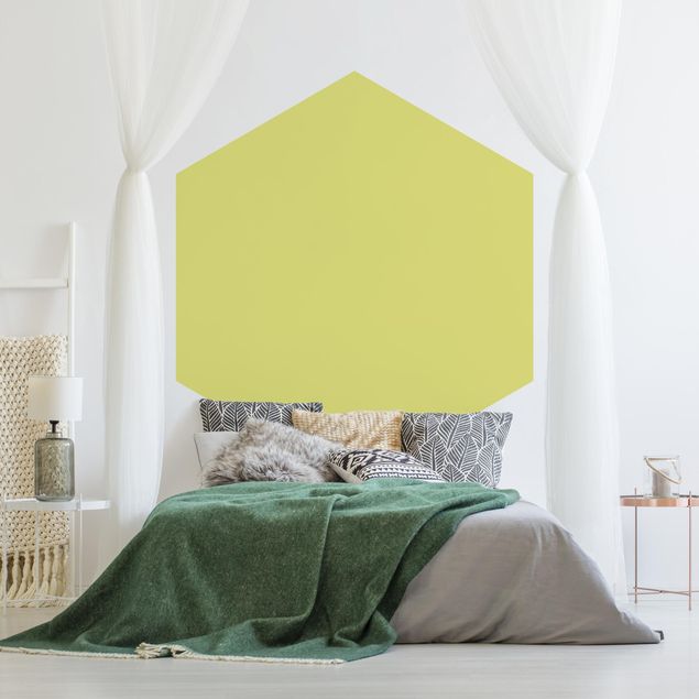 Papel pintado hexagonal Pastel Green