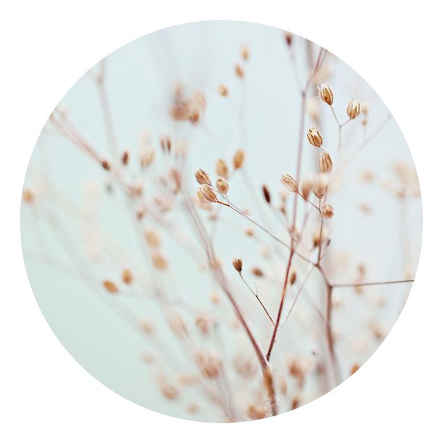 Cuadros de Monika Strigel Pastel Buds On Wild Flower Twig