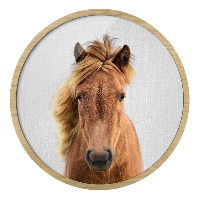 Cuadro redondo Horse Pauline