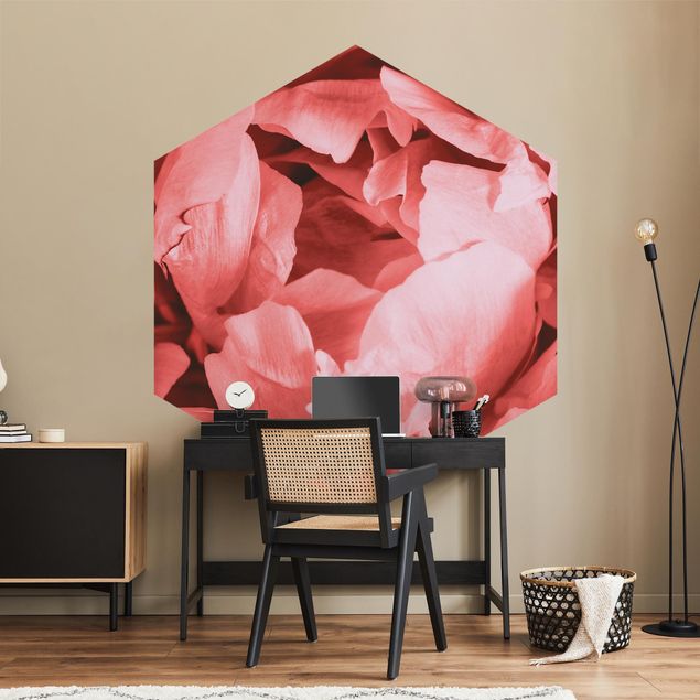 Papel pared flores Peony Blossom Coral