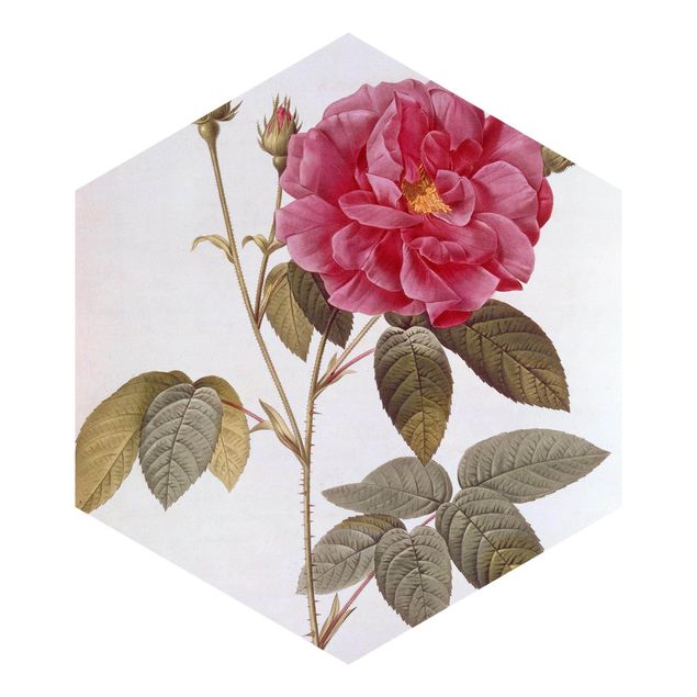 Papel pintado rústico Pierre Joseph Redoute - Apothecary's Rose