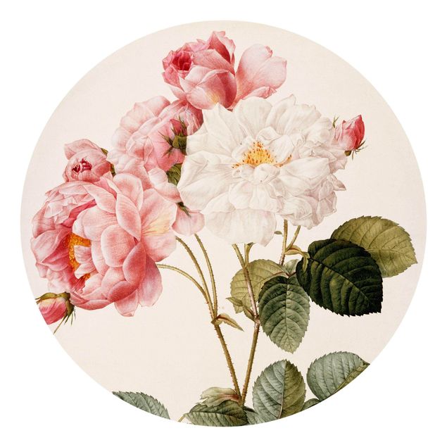 Estilos artísticos Pierre Joseph Redoute - Pink Damascena