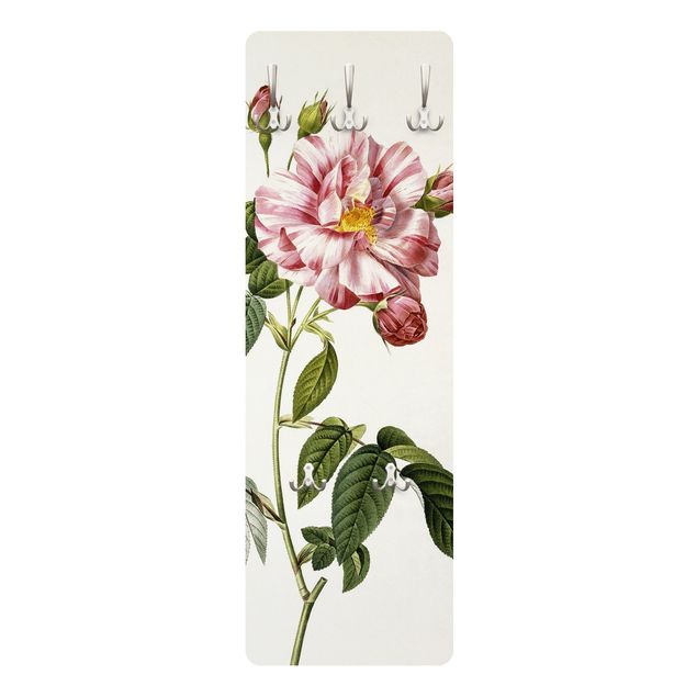 Perchero de pared rústico Pierre Joseph Redoute - Pink Gallica Rose