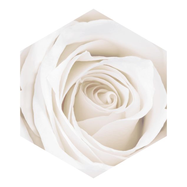 Papel pintado azul Pretty White Rose
