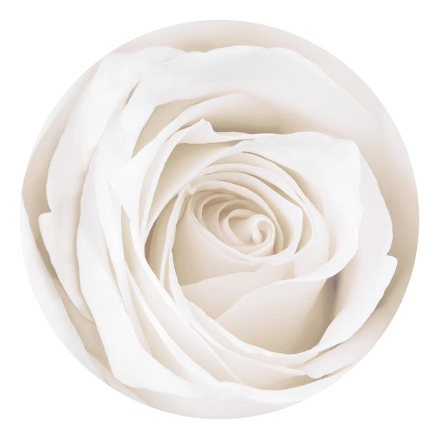 Pintado rústico Pretty White Rose