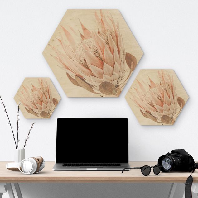 Hexagon Bild Holz - Protea Königin der Blüten