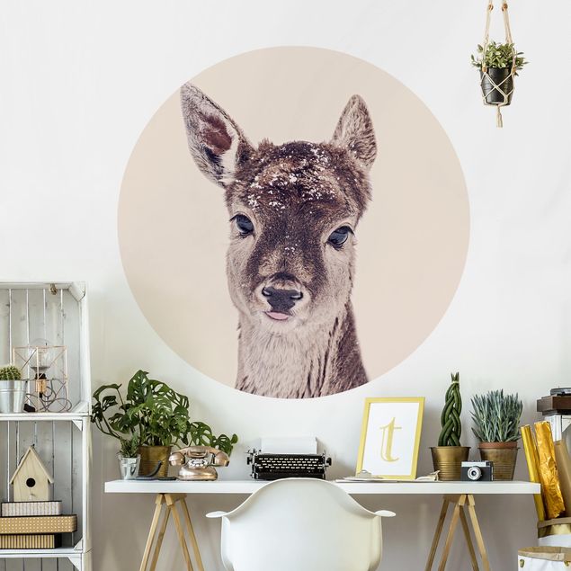 Papel pared animales Fawn Portrait