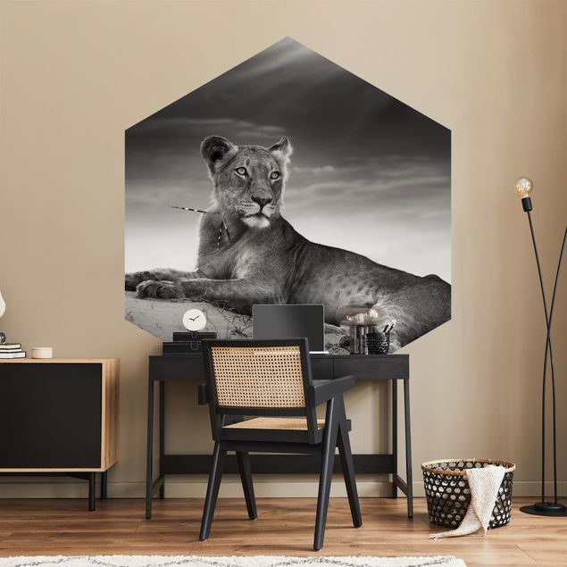 Papel pintado salón moderno Resting Lion
