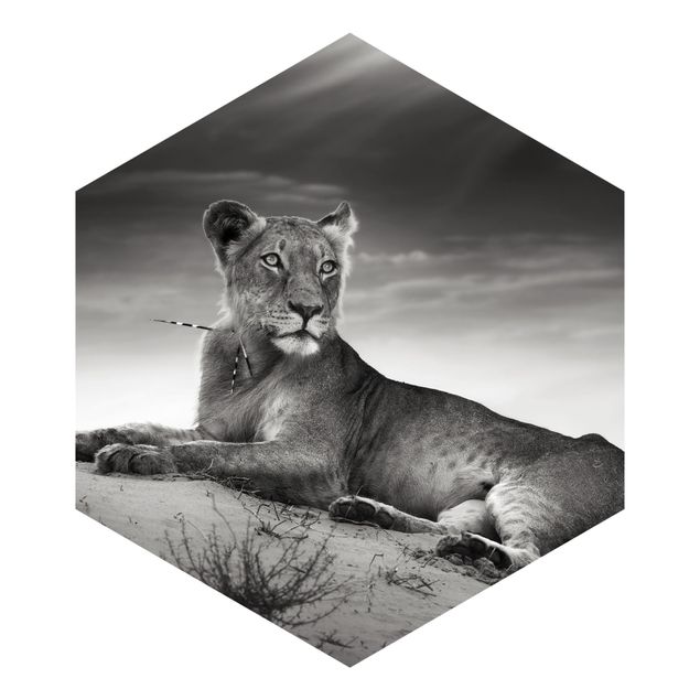 Papel pintado hexagonal Resting Lion