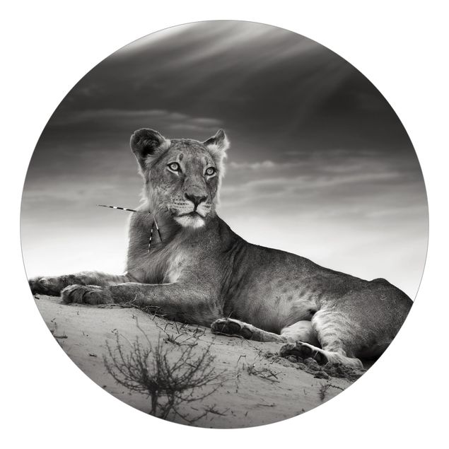 Papeles pintados modernos Resting Lion