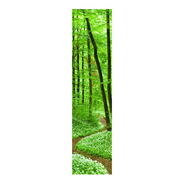 Paneles japoneses paisajes Romantic Forest Track