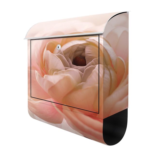 Cuadros de Monika Strigel Focus On Light Pink Flower
