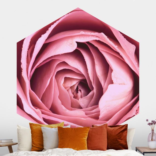 Decoración en la cocina Pink Rose Blossom