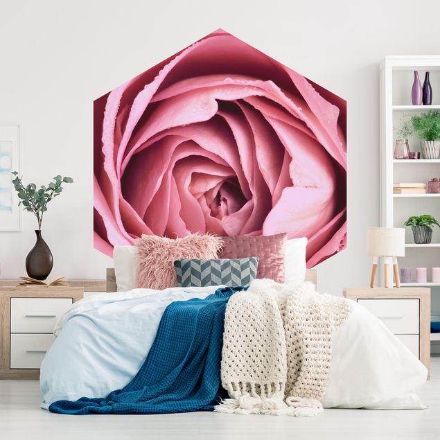 Papel pared flores Pink Rose Blossom