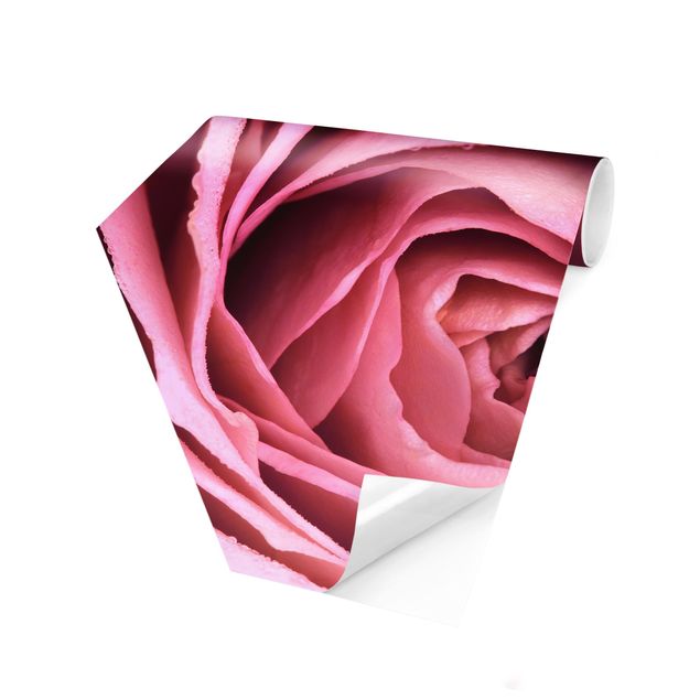 Papel pintado salón moderno Pink Rose Blossom
