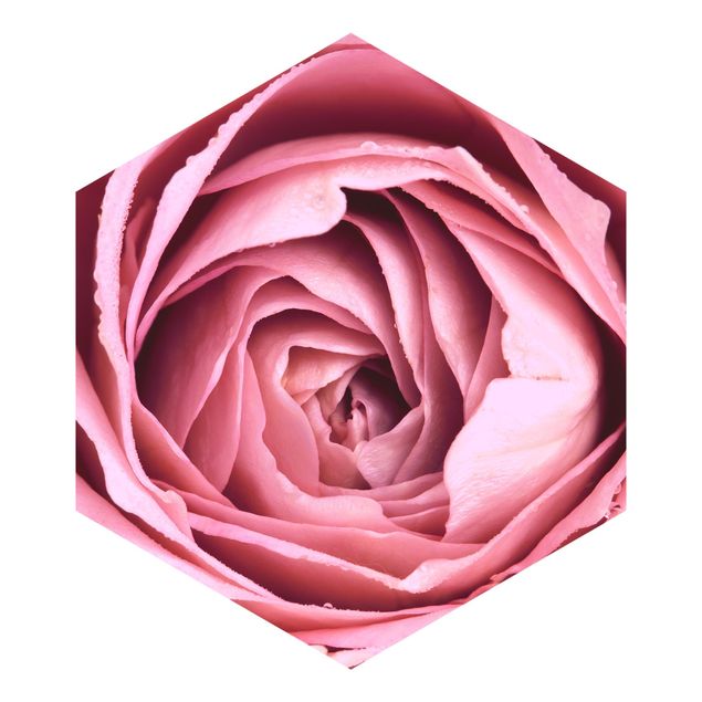 Papel pared rosa Pink Rose Blossom