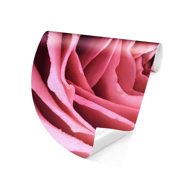 Papel pintado floral Pink Rose Blossom