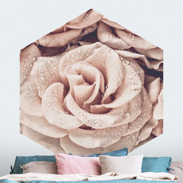 Papel pintado rosas Roses Sepia With Water Drops