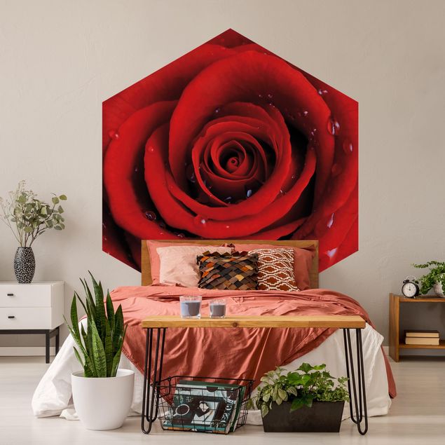 Papel pared flores Red Rose With Water Drops