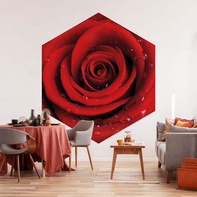 Papel pintado salón moderno Red Rose With Water Drops